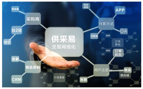 新闻资讯 同徽公司 b2b电子商务软件与服务供应商