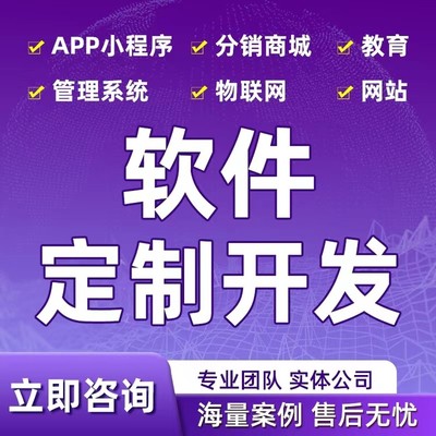 承接软件开发/小程序开发/APP开发/网站搭建/各行业应用系统应用开发