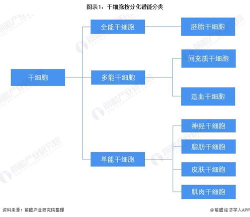 预见2022 2022年中国干细胞医疗产业全景图谱 附产业链现状 市场竞争格局和发展前景等