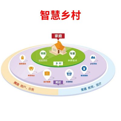智慧乡村 提供咨询、设计、软件开发、信息化整体服务